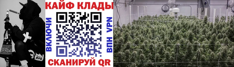 Где можно купить наркотики Ардон Cocaine  МАРИХУАНА  Псилоцибиновые грибы  Гашиш  Мефедрон 