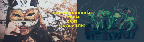 первитин Алексин