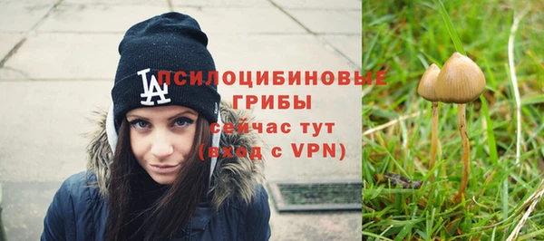 герыч Алзамай
