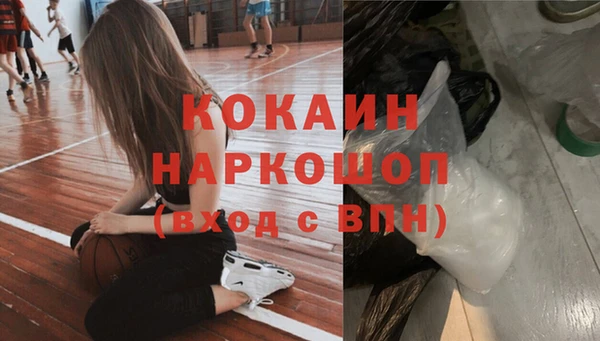 гашик Магас