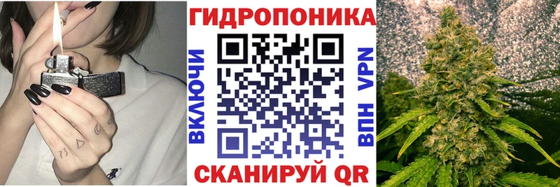 KRAKEN ССЫЛКА Ардон Бошки марихуана тримм дарнет шоп